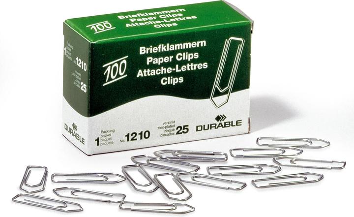 Immagine prodotto Durable Graffetta a punta da 32 mm in metallo zincato 100 pezzi/confezione. (1 x)