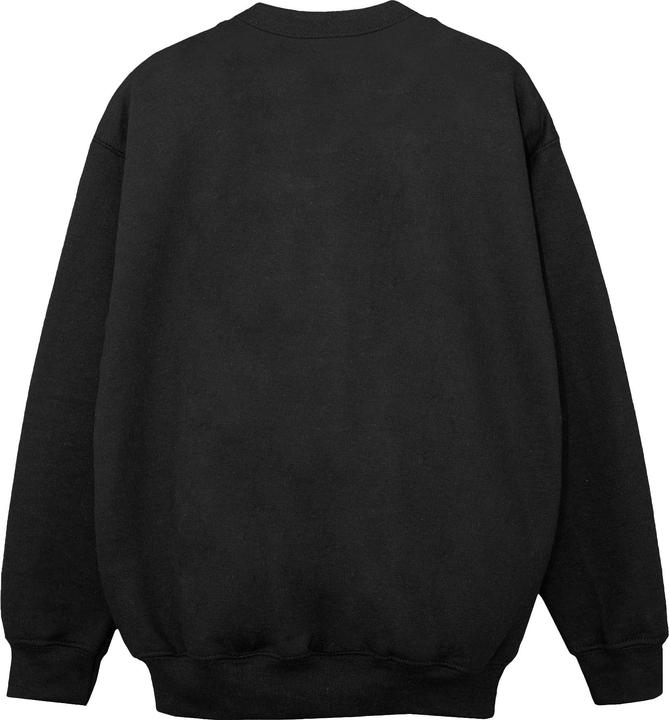 Produktbild Disney Encanto Animal Magnet Sweatshirt Mädchen (152, 158)
