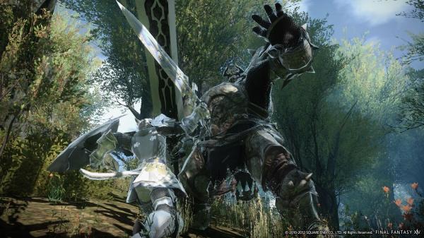 Actual product image Plaion Final Fantasy XIV - Starter Edition (PS4, IT)