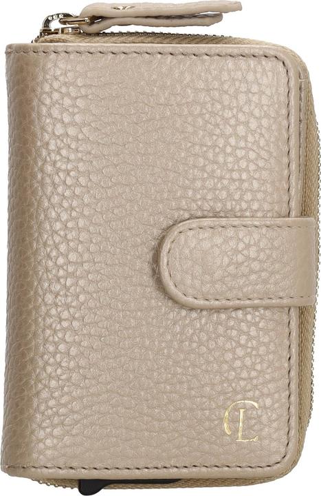 Actual product image Charm Washington Credit Card Case