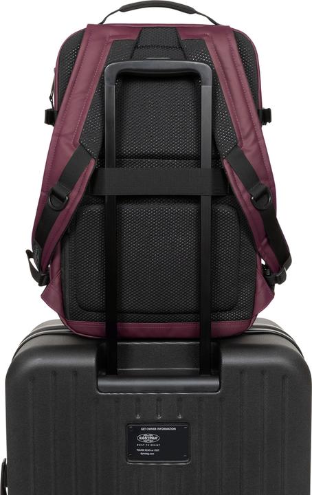 Image du produit Eastpak TecumCNNCT Top Fig (19 l)