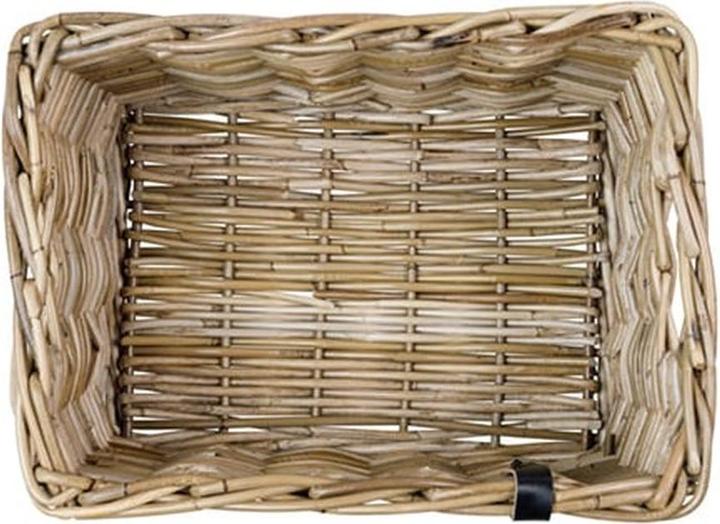 Immagine prodotto Basil Dax S (20 l)