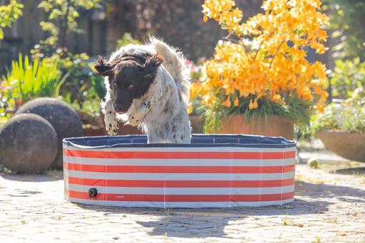 Produktbild Beeztees Hundepool Doggy Dip (Hundepool)