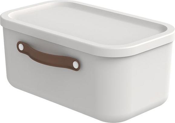 Actual product image Rotho Storage box Maloja 12 l, Iron Red (26.50 cm, 12 l, 1x)