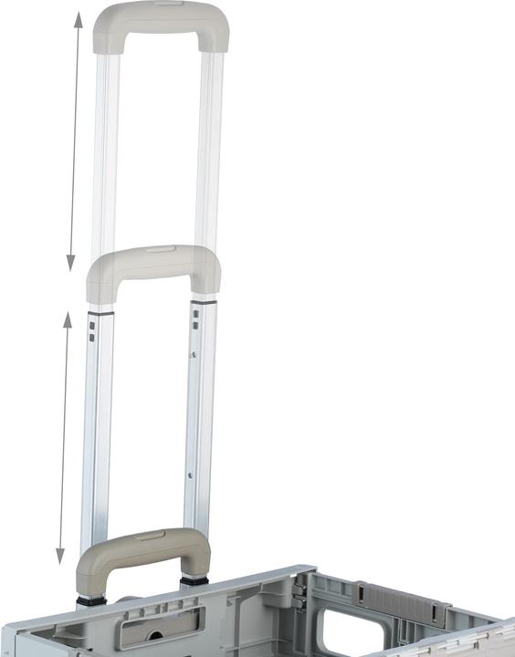 Image du produit Relaxdays Chariot de courses