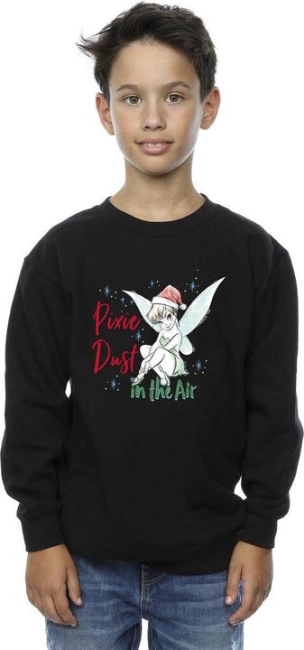 Produktbild Disney Tinker Bell Pixie Dust Sweatshirt Jungen (116)