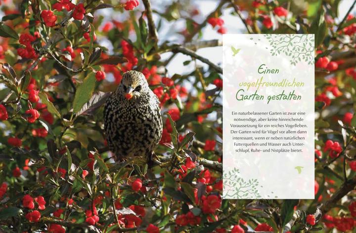 Produktbild Mein vogelfreundlicher Garten (Deutsch, Ursula Kopp, 2018)