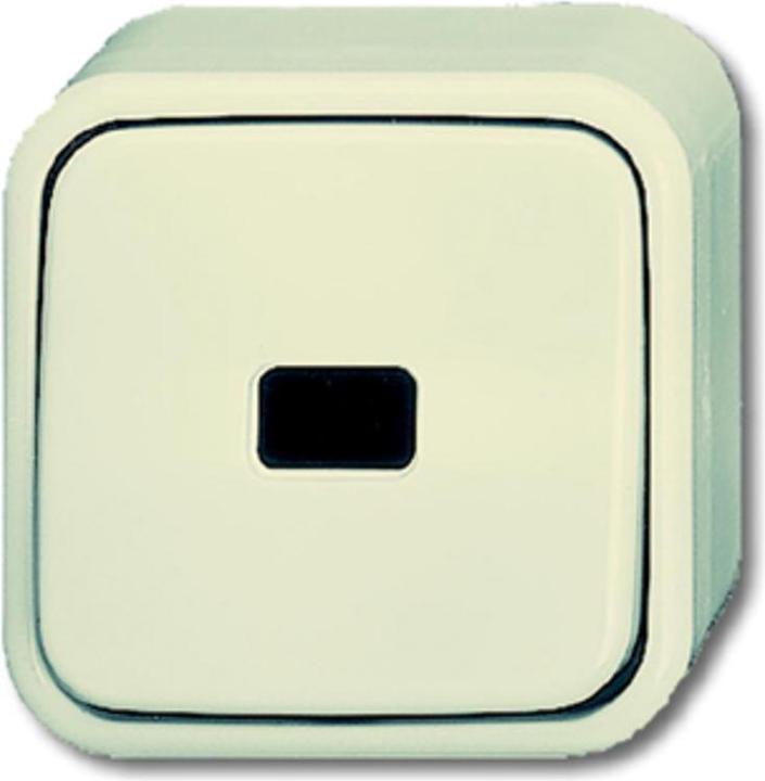 Actual product image Busch-Jaeger Rocker switch