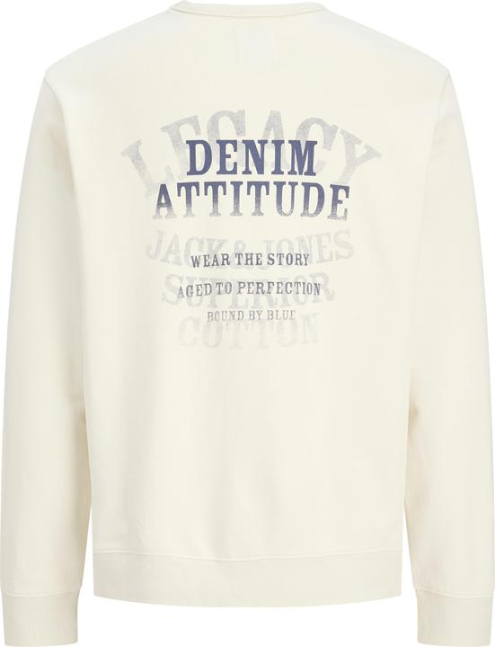Produktbild Jack & Jones Jjedetroit Sweat Crew Neck Styd Aw25 (M)