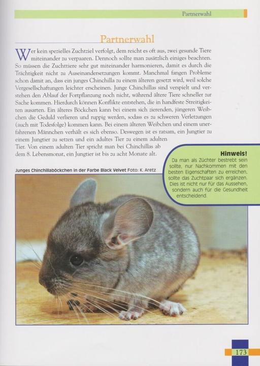 Produktbild Leben mit Chinchillas (Deutsch, Tatjana Jonca, 2011)