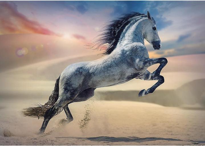 Image du produit Trefl Puzzle 1000 - Cheval majestueux (1000 pièces)