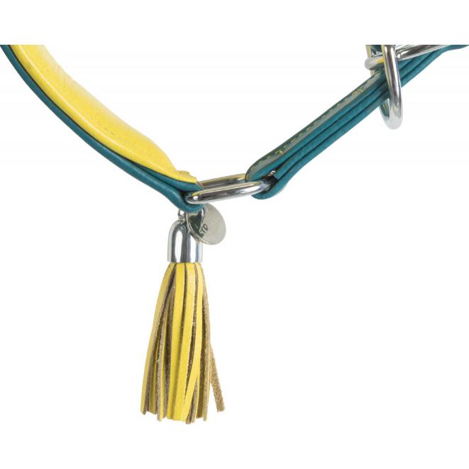 Thumbnail - Trixie Halsband Active Comfort mit Zug-Stopp (S, Hund, Allgemein), Halsband + Leine