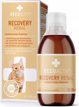Recoactiv Recovery (Senior, Adult, 1 Stk., 280 g)