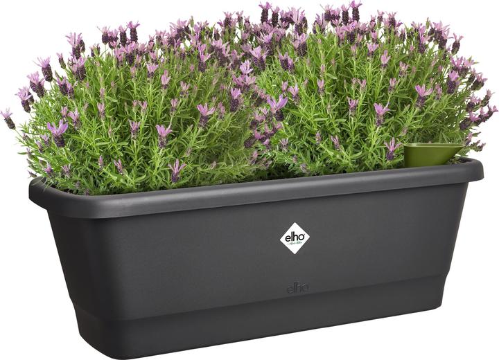 Immagine prodotto Elho Box da balcone Noa (20 cm)