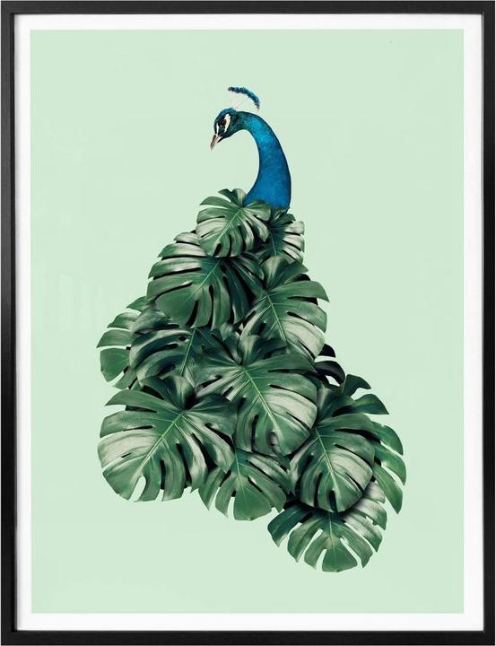 Trenddeko Monstera Bird