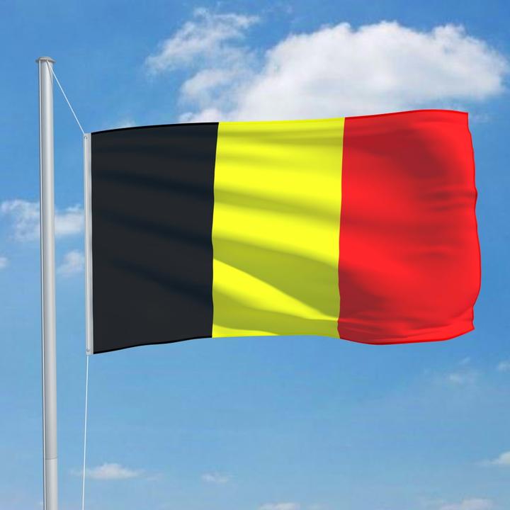 Immagine prodotto vidaXL Belgien Flagge (150 x 90 cm)