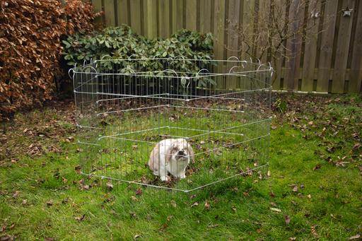 Actual product image Beeztees BZ FREEHEELED VERZI 6 TEI 66.5X