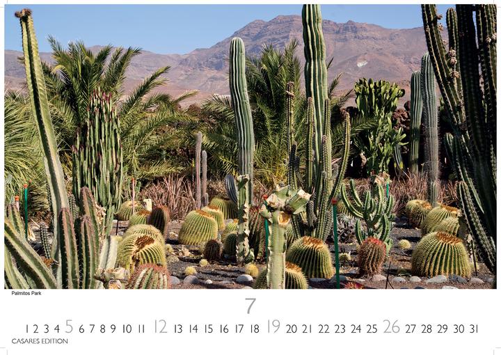 Actual product image Gran Canaria 2026 L 35x50cm (50 x 35 cm)