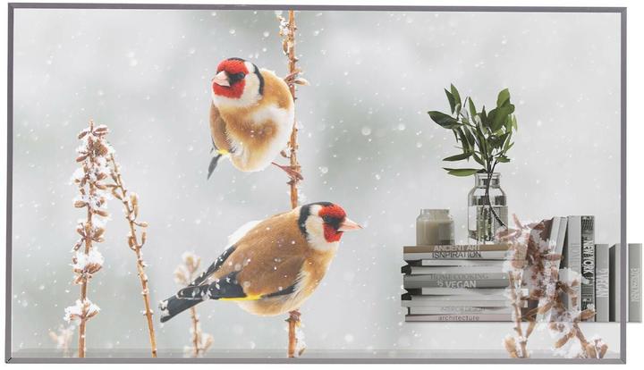 LG 55EW5P-M (1920 x 1080 pixels, 55")