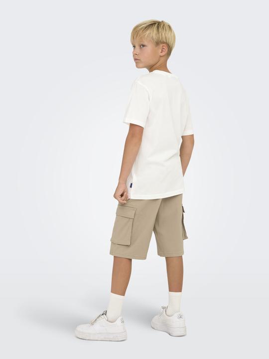 Produktbild Only & Sons Junior Osjlenny Life Reg Vintage Tee Jrs Noos (158, 164)