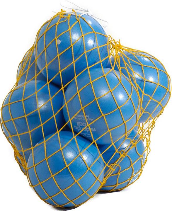 Actual product image Huck Ballnetz