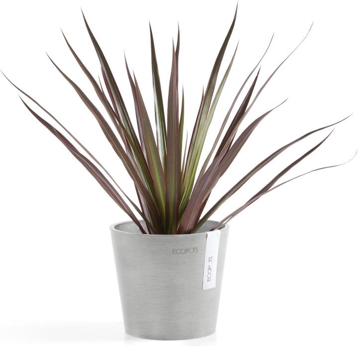 Immagine prodotto Ecopots Amsterdam Mini (13 cm)