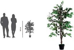 Produktbild Paperflow Feigenbaum (120 cm)