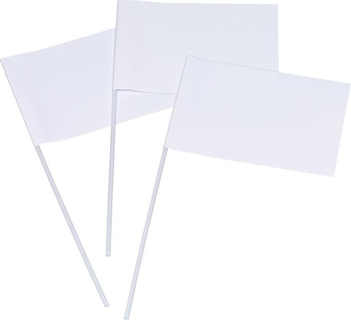 Image du produit Folia Drapeau sur canne, rectangle