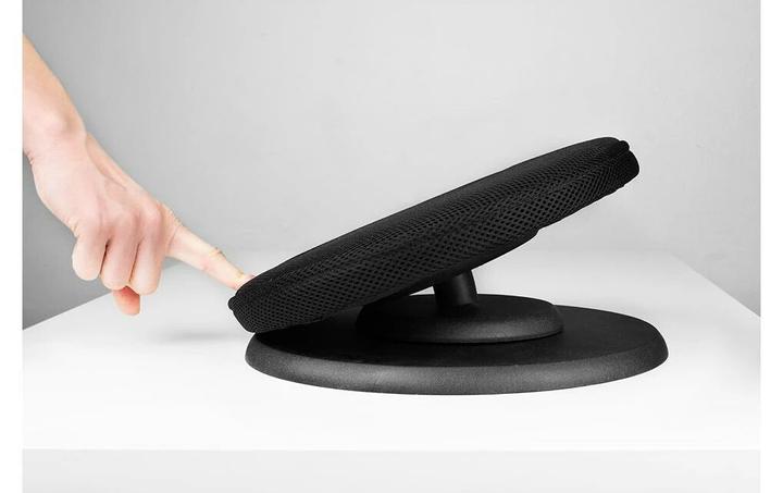 Image du produit Swedish Posture Posture Balance Core