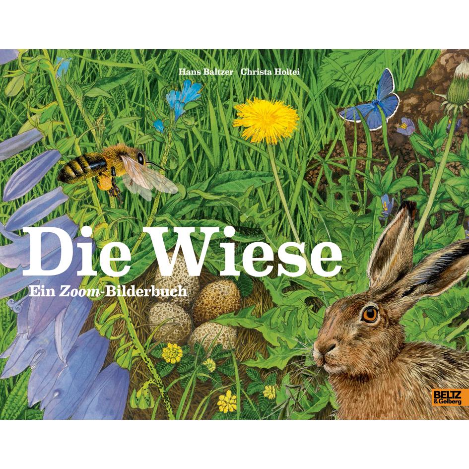 Die Wiese, Kinderbücher von Hans Baltzer, Christa Holtei