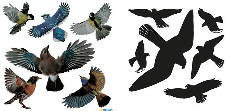 Image du produit HERMA Autocollant Oiseaux d'avertissement