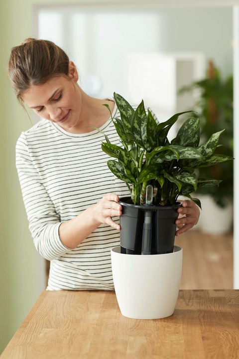 Actual product image Elho Self-irrigation system