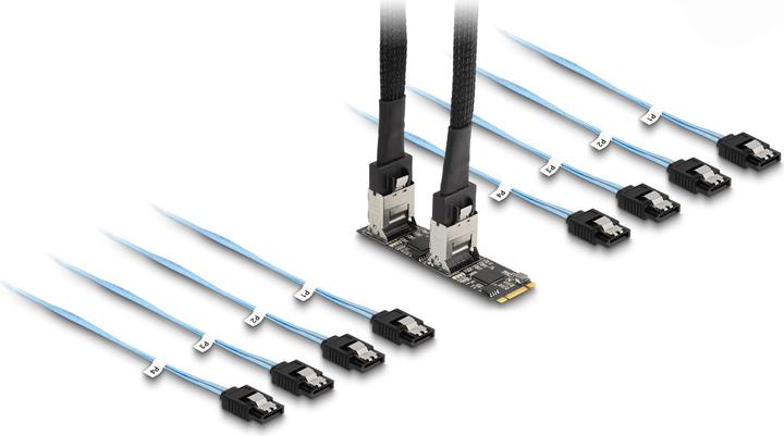 Actual product image Delock Converter M.2 2280 Key B+M male to 8 x SATA