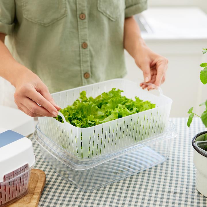 Produktbild Rotho Dynamic Box 6,4 l FRESH (6.40 l)