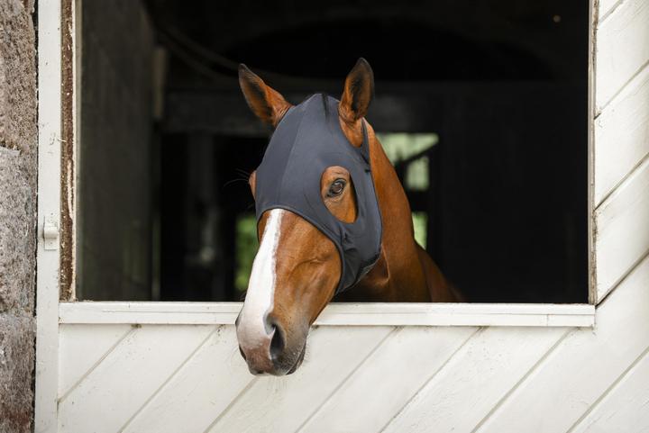 Produktbild Horseware Ionic Calming Face Mask