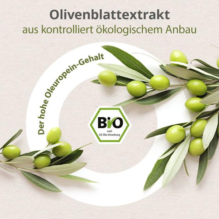 Image du produit Effective Nature Ashwagandha KSM-66 & extrait de feuille d'olivier bio (60 pièce(s), Capsules)
