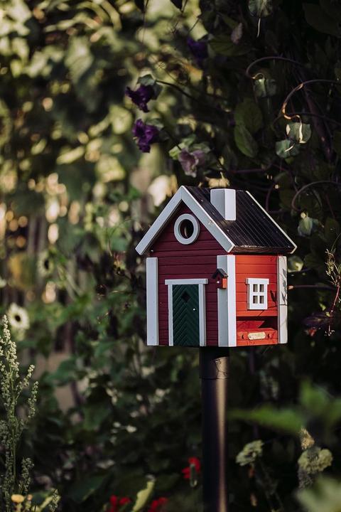 Immagine prodotto Wildlife Garden Vogelfutterhaus und Nistkasten aus Holz