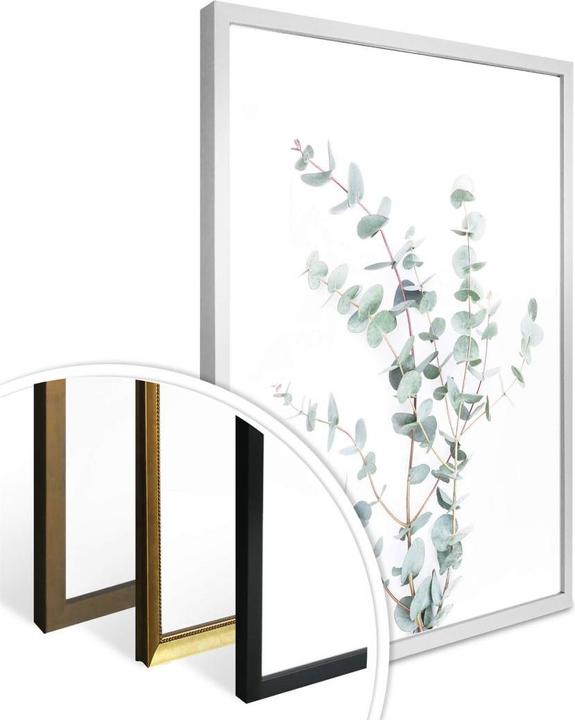 Produktbild Trenddeko Eukalyptuszweig (80 x 100 cm)