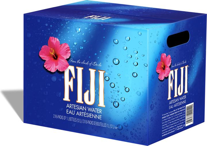 Fiji Eau (12 x 100 cl)