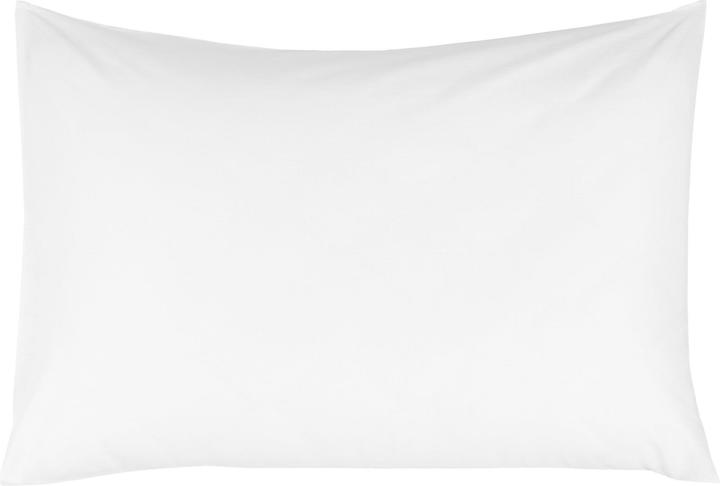 Domoletti Pillow Case Cotton 50x70 cm White