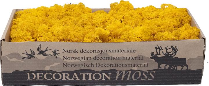 Produktbild Flowerbox Islandmoos