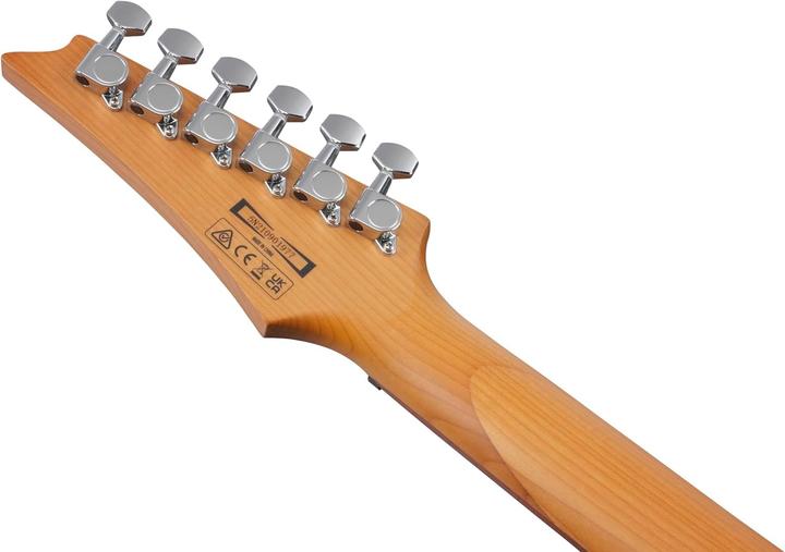 Image du produit Ibanez GRG121SP Vert Jaune Caméléon électrique gitaar (Guitare électrique)