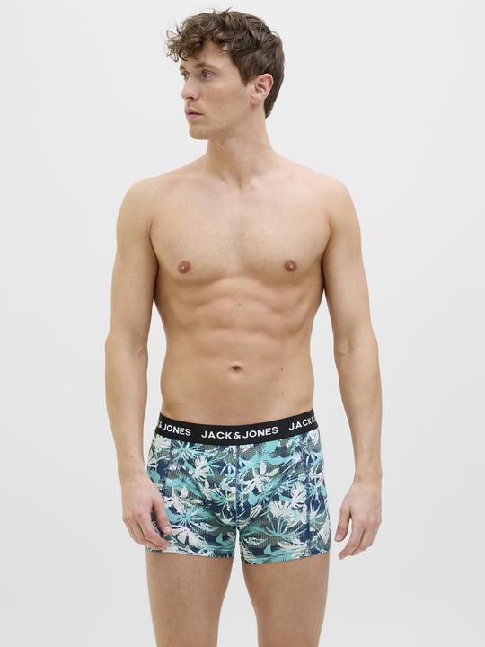 Actual product image Jack & Jones Shorts Shorts (XXL, 5-pack)