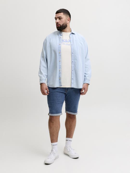 Image du produit Jack & Jones Plus Size Regular Fit Regular Fit Shorts Regular Fit Shorts (46)