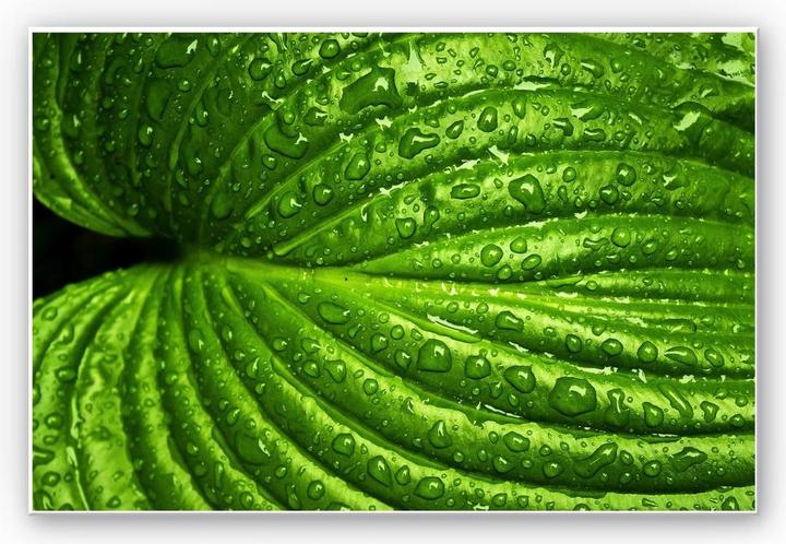 Trenddeko Nach dem Regen