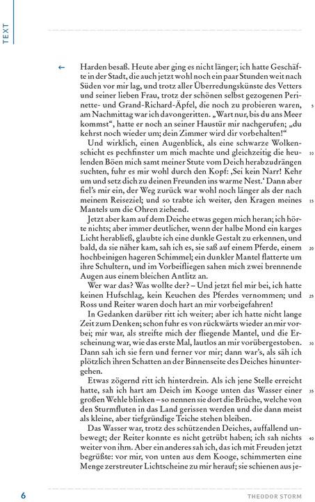 Produktbild Der Schimmelreiter (Deutsch, Theodor Storm, 2020)