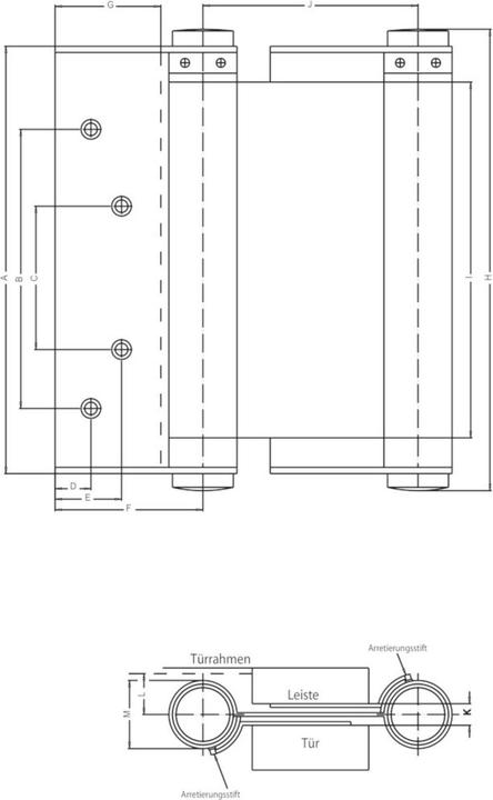 Actual product image Fridavo Spiralfeder-Pendeltürband Modell M blank Size 30 100 mm