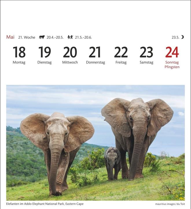 Actual product image Harenberg Südafrika & Namibia Sehnsuchtskalender 2026 - Wochenkalender mit 53 Postkarten (Hardcover, German)