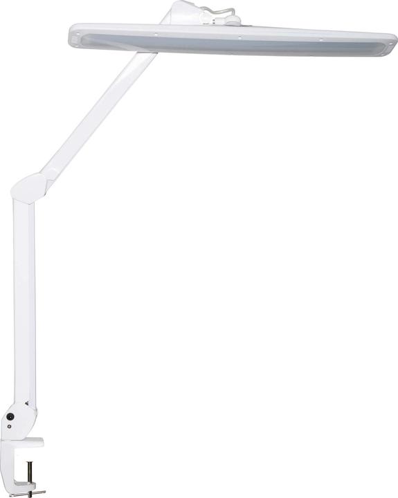 Actual product image Maul Mouthwork (2248 lm)