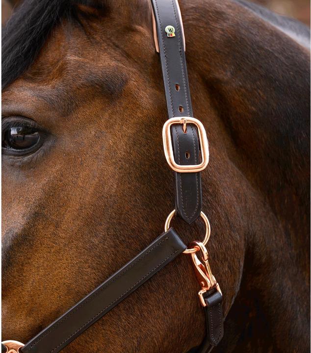 Produktbild Waldhausen X-Line